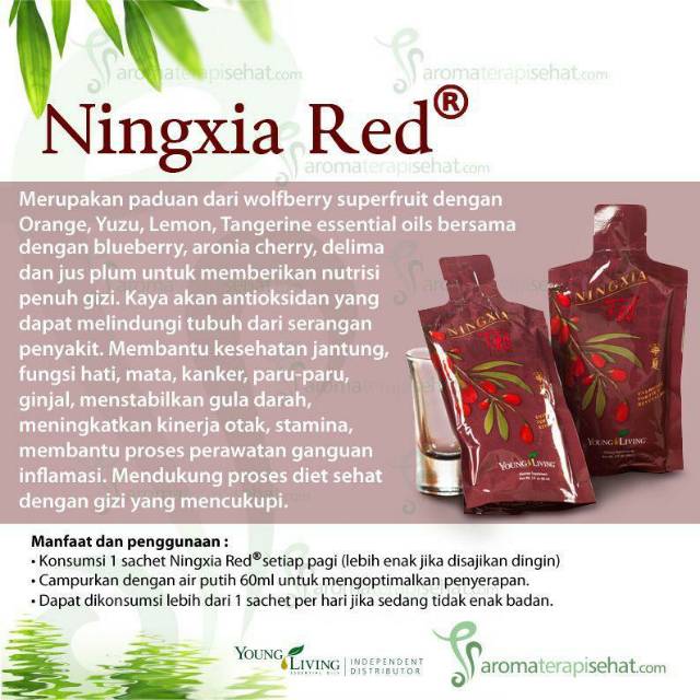 

Minuman Anti Oksidan