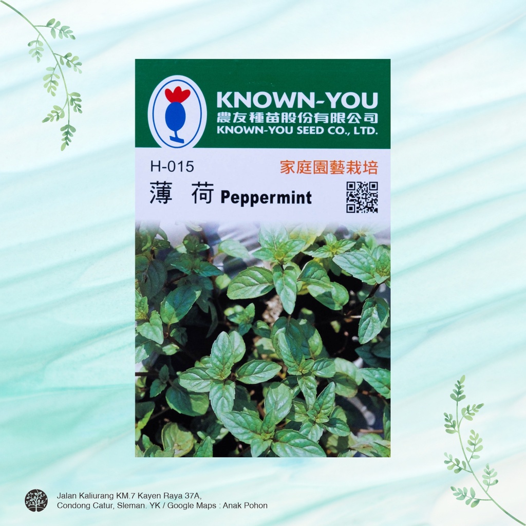 (1 PACK) Benih Peppermint Mint Herb Seeds - Known You Seed KYS - 100 SEEDS