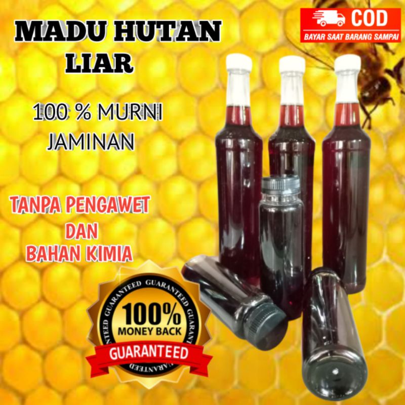 

MADU HUTAN LIAR