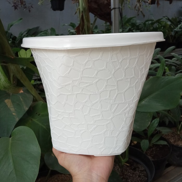 Pot Bunga Budi Jaya Twister 20 Putih / Pot Tanaman