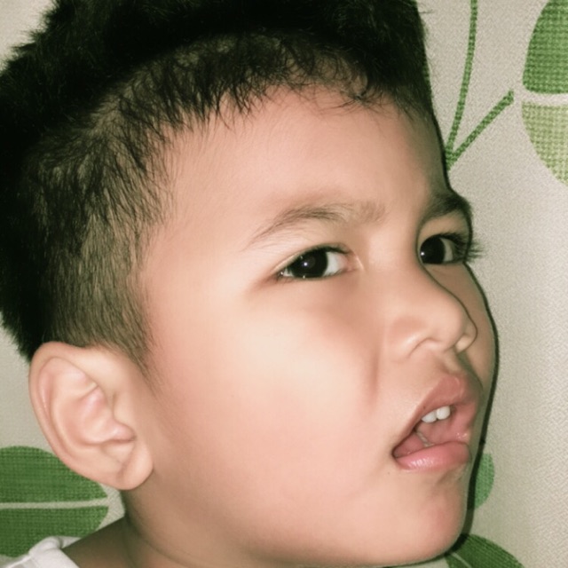 

dijual untuk lebaran idul adha