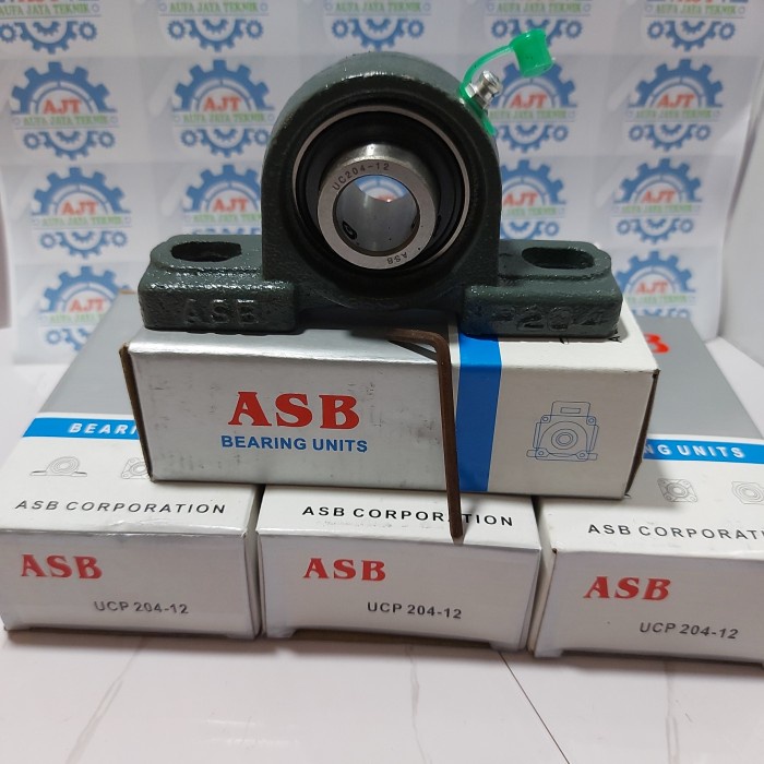 laher duduk 204 19mm /ucp 204-12 ASB