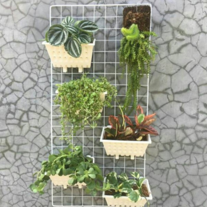 [PROMO EKSKLUSIF] Ram Besi Tanaman LIMITED