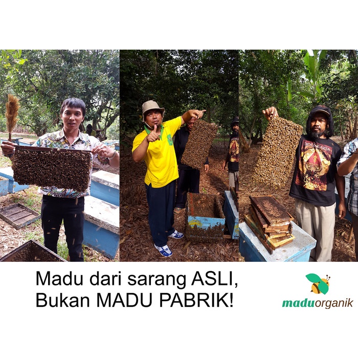 

201nhgg Madu Asli Murni 100% - Madu Organik - 0.4Kg Ds201Fs