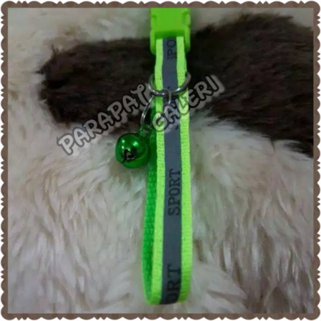 Kalung Kucing / anjing Motif Sport kwalitas Import