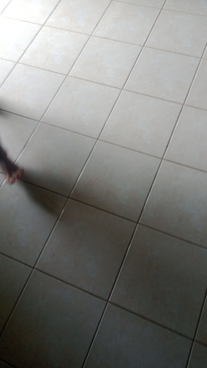 Pupuk Jimmy Hantu Jago Tani Zpt Ratu Biogen 1000 Ml Hormon Tanaman Unggul
