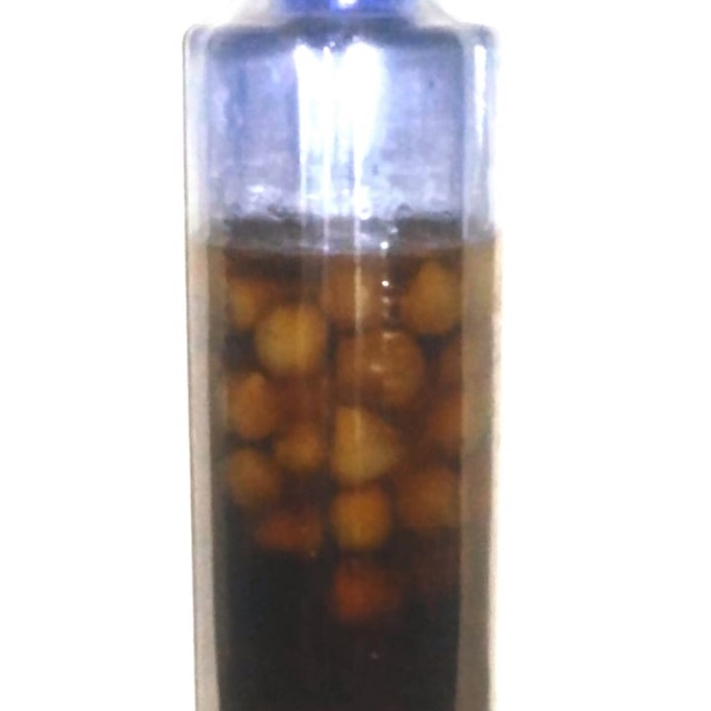 

Madu Bawang Putih Tunggal Lanang