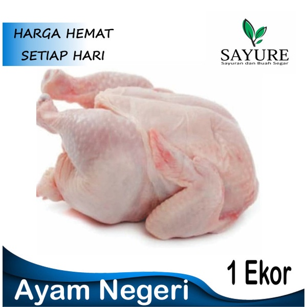 

AYAM POTONG NEGRI 1 EKOR