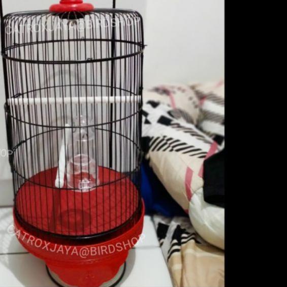 ◌ SANGKAR BESI KECIL/SANGKAR PLECI/SANGKAR KOLIBRI/Kandang BURUNG [catrox jaya/ catroxjaya] ◘
