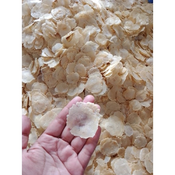 

EMPING MELINJO KECIL TIPIS DAN RENYAH.