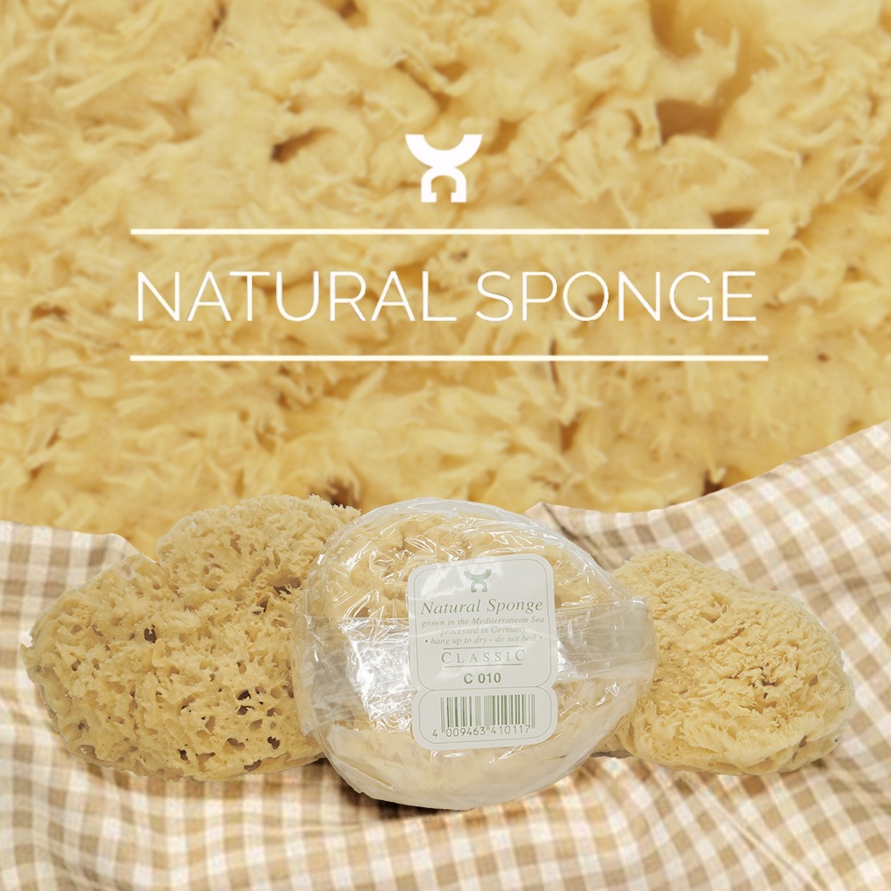 [GERMANY] NATURAL SEA SPONGE for baby / for face / for body