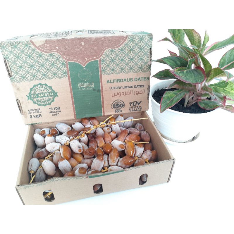 ruthob libya tunisia libya 2kg kurma tunis libya