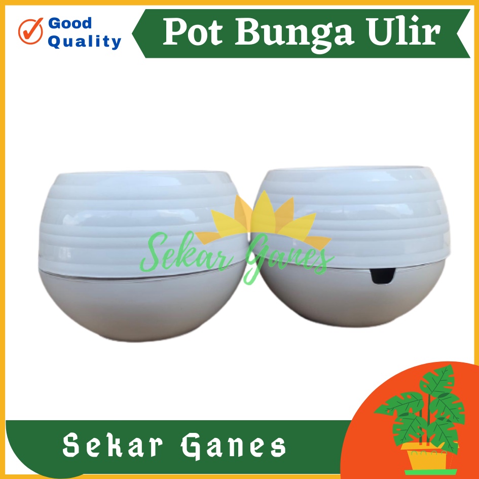 Pot Bola Ulir Putih Motif Pot Tawon Tanaman Bunga Plastik Jozaka - Pot Bola Mini Plastik Putih Bunga Pot Bunga Cantik Pot Bola Pot Plastik Putih