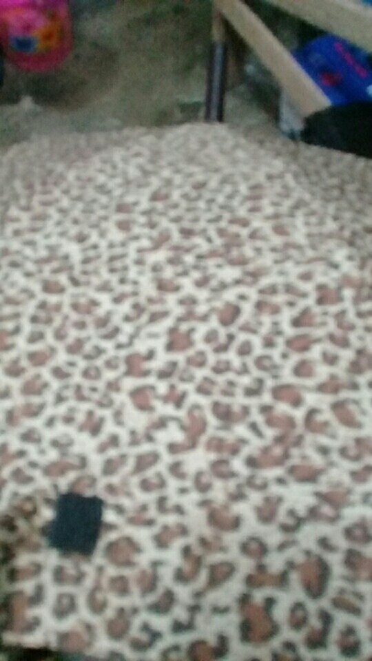 Tabasa Payung Tongkat Leopard Loko