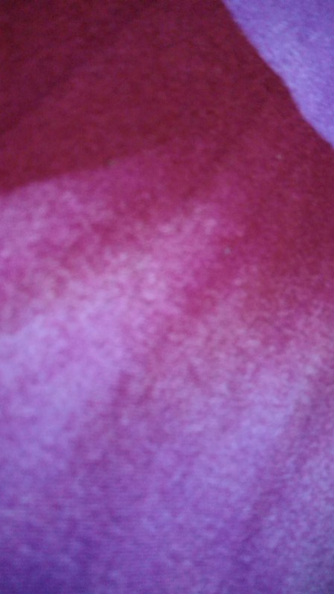 Pisau Roti / Pemotong Kue / Pisau Kue Ulang Tahun