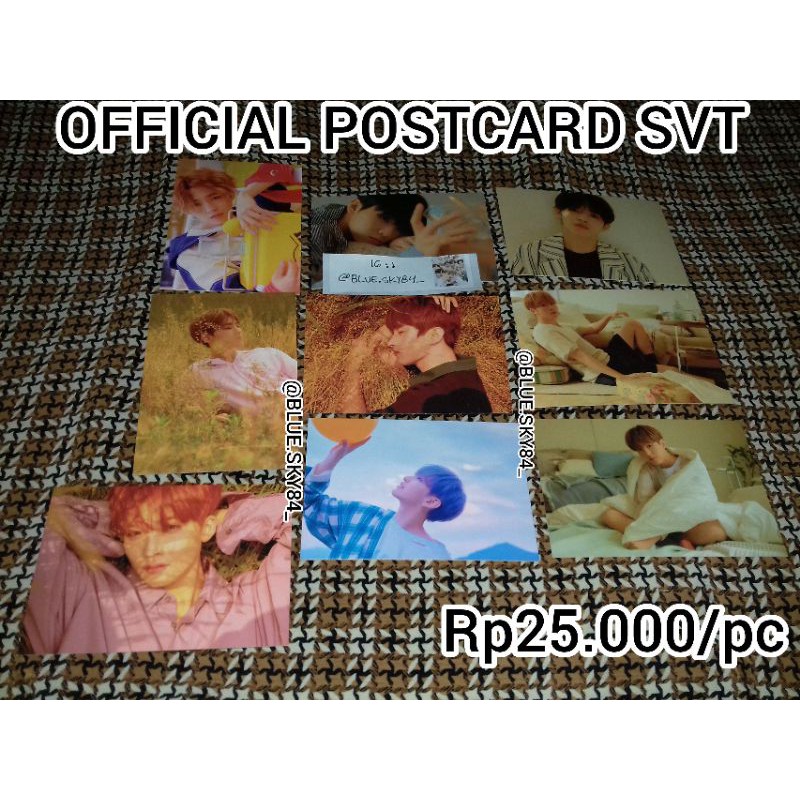 

Official postcard seventeen