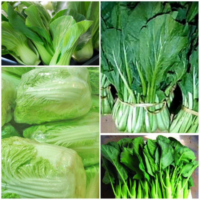 

Sayur Segar #Sawihijau #Sawiputih #Sawidaging #Kailan