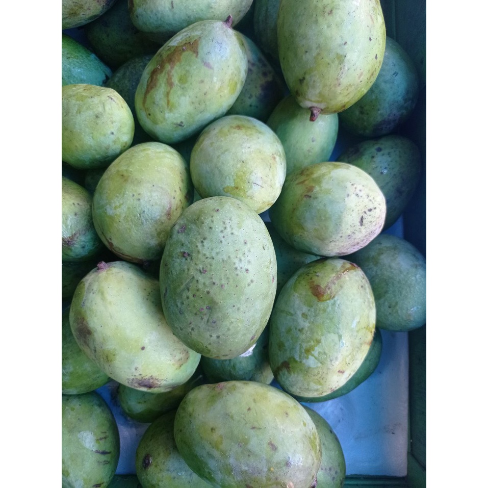 

Buah Kuini
