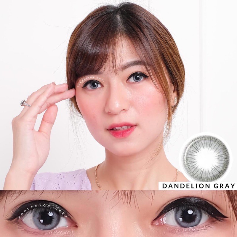 Softlens 100% Original Korea - Dandelion Gray / Grey