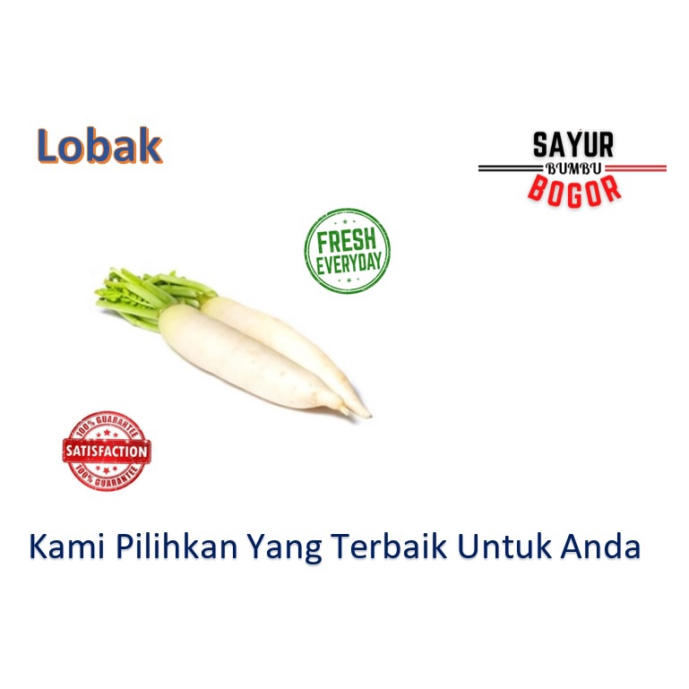 

Lobak / Lobak Putih / Lobak Sayur