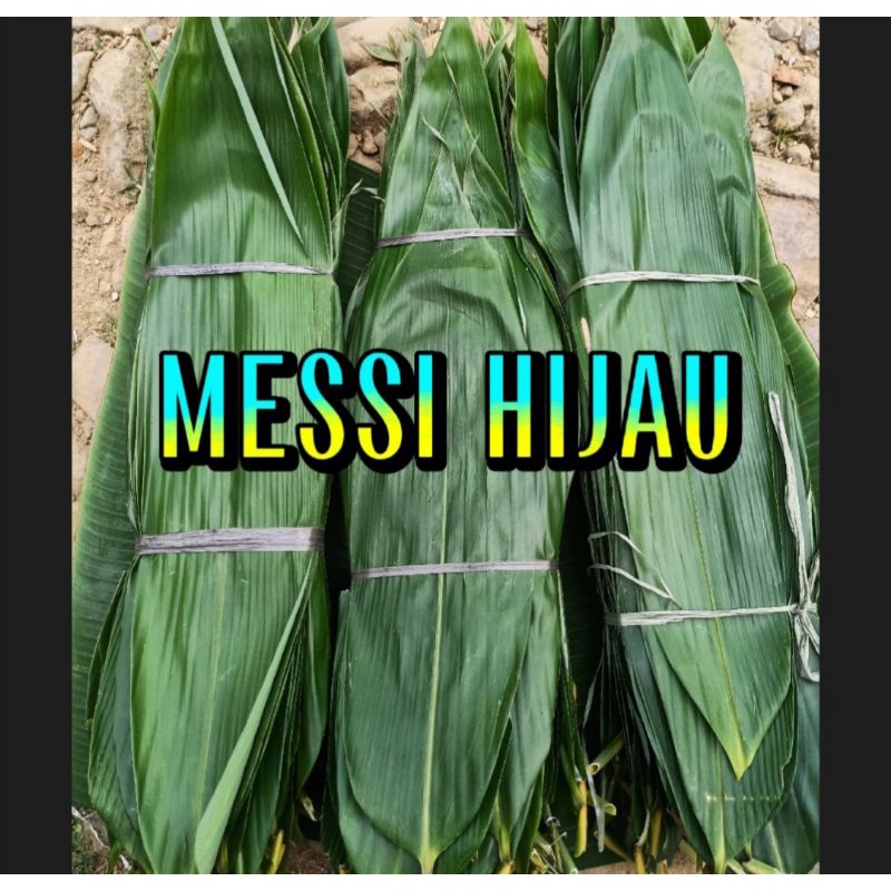 

DAUN BAMBU jumbo 8-10cm, Bungkus bakcang 100Lembar