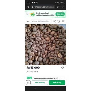 

Robusta Solok