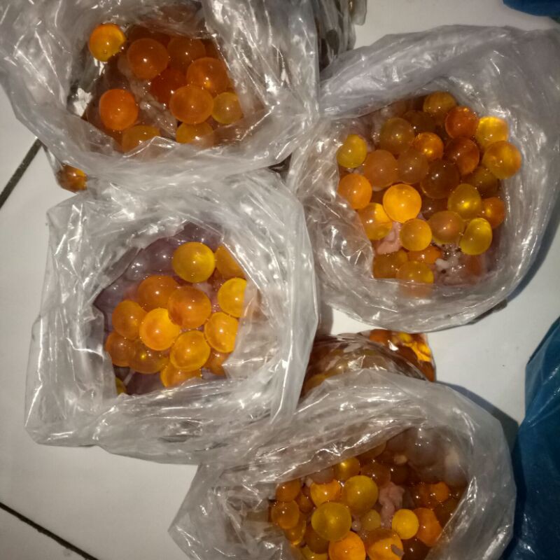 Telur ikan manyung 500 gr size mix S dan M