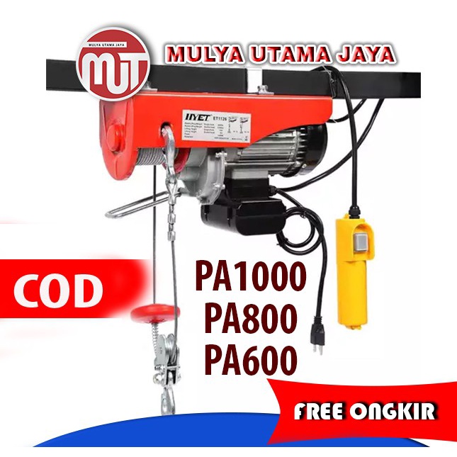 Electric HOIST PA 300 mini