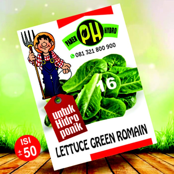 BENIH BIBIT SELADA ROMAIN KHUSUS HIDROPONIK