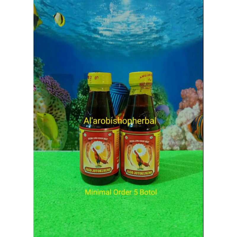 

JAMU JAGO JOYO KUSUMO PAKET 1 DUS ISI 50 BOTOL