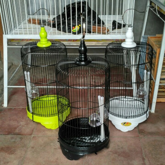 TERLARIS Kandang burung besi bulat kecil import HG00G9