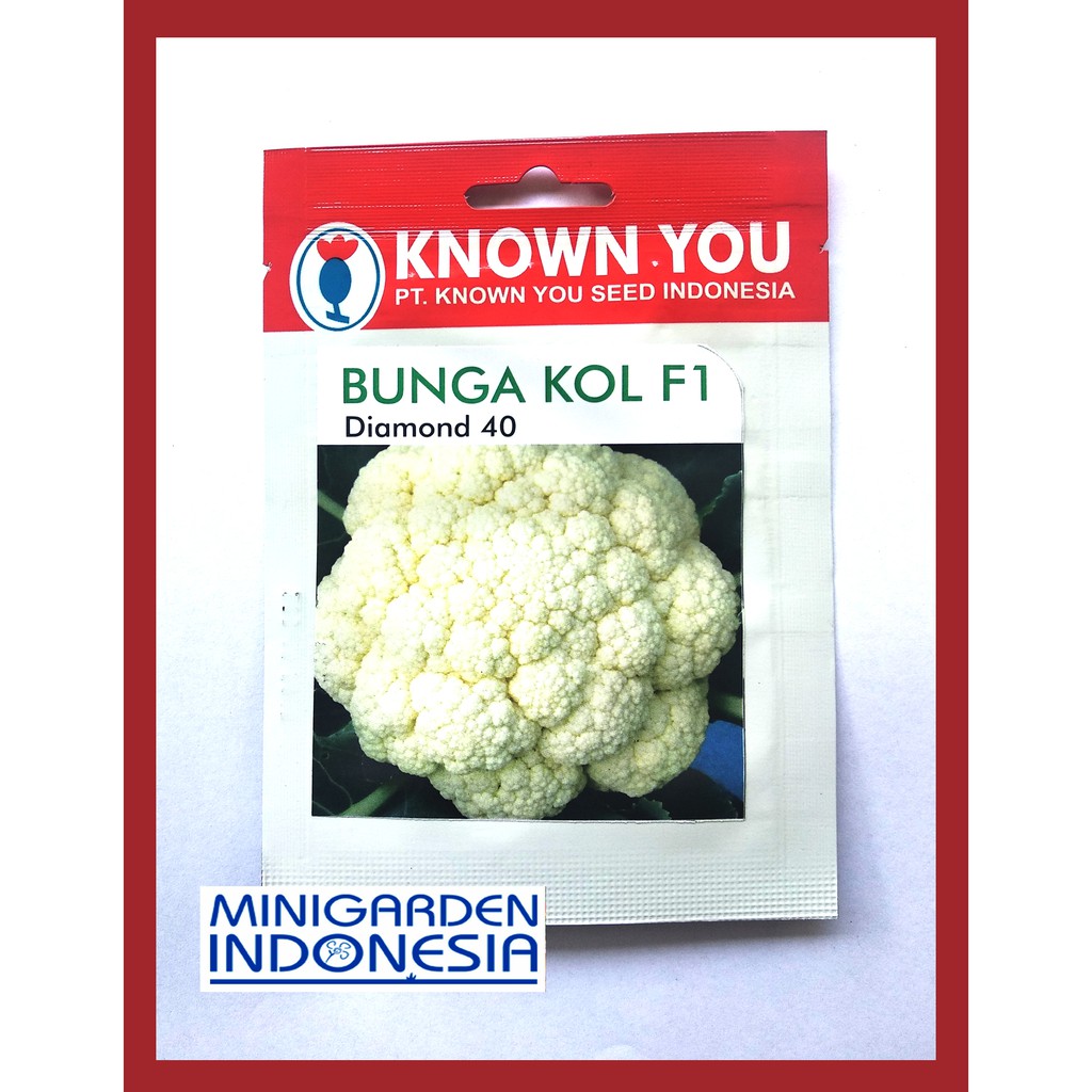 BUNGA KOL DIAMOND 40 PACK KECIL 200 BIJI benih Kembang Kol F1 KNOWN YOU SEED  Bibit Tanaman Sayuran Hidroponik