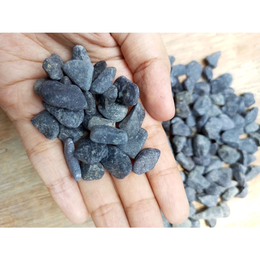 Batu Koral Sikat Hitam 9per12