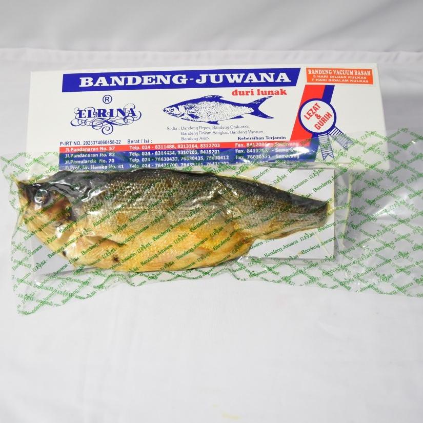 

[KODE PRODUK ERHF87993] BJ Elrina Bandeng Vacuum BASAH 0.5kg (tahan 5 hari) merek Bandeng Juwana Elrina