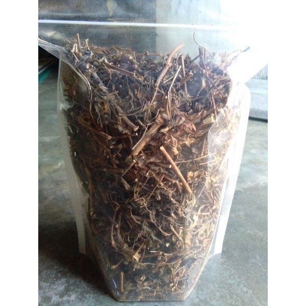 Kumis Kucing Hutan Kering 1 kg
