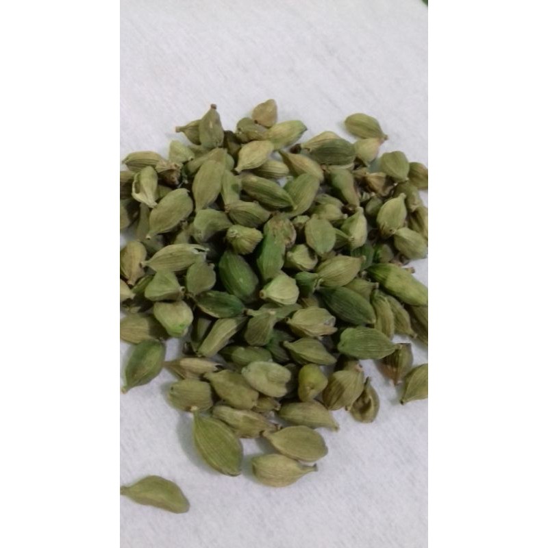 

KAPULAGA kualitas super premium 500gr