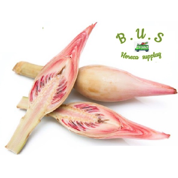 

Bunga Kecombrang Tanpa Barang 1kg (20-24 Pcs) B.U.S