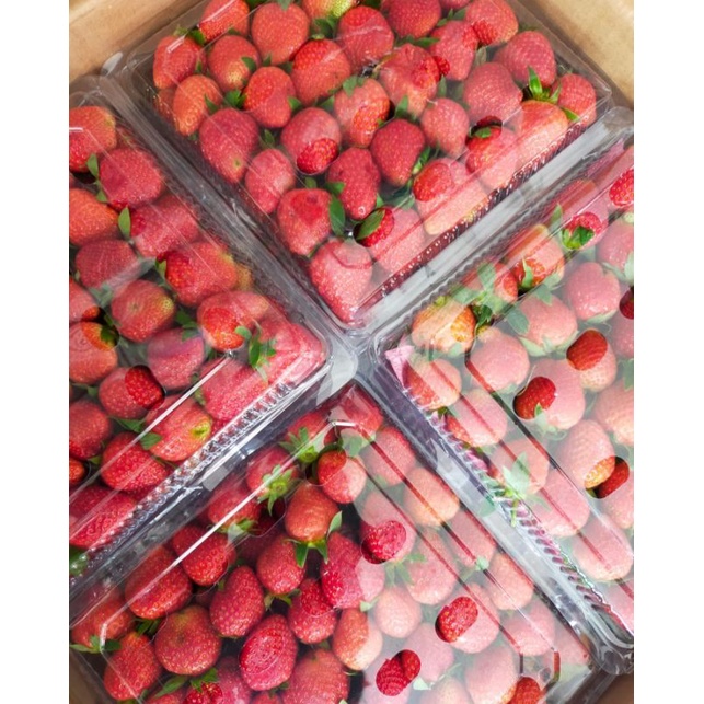 

Strawberry Fresh ± 1 Kg PO Belanja murah Depok reseller dropship Cibinong cilodong terlaris terdekat agen murah makanan belanjaan frozen pabrik homemade fresh promo baru cepat habis