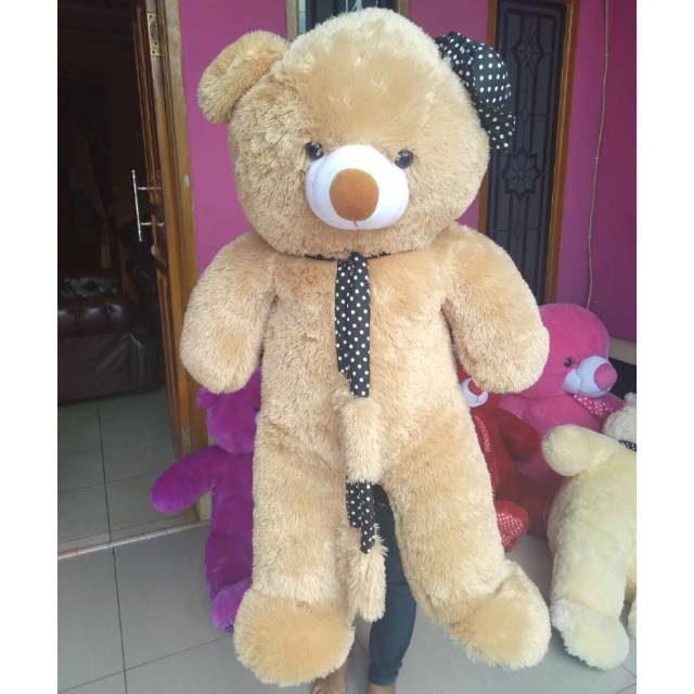 1.2 m teddy bear