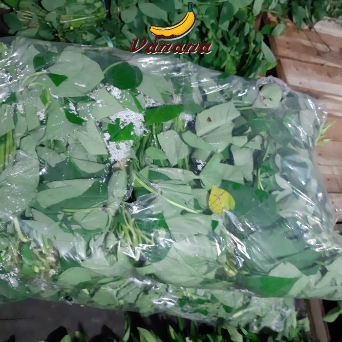 

VANANA Sayur Daun Ubi Jalar/Daun Ketela Rambat 1 kantong