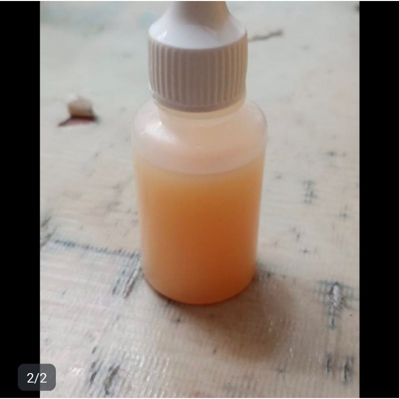 umpan essen d13 super mancing ikan mas