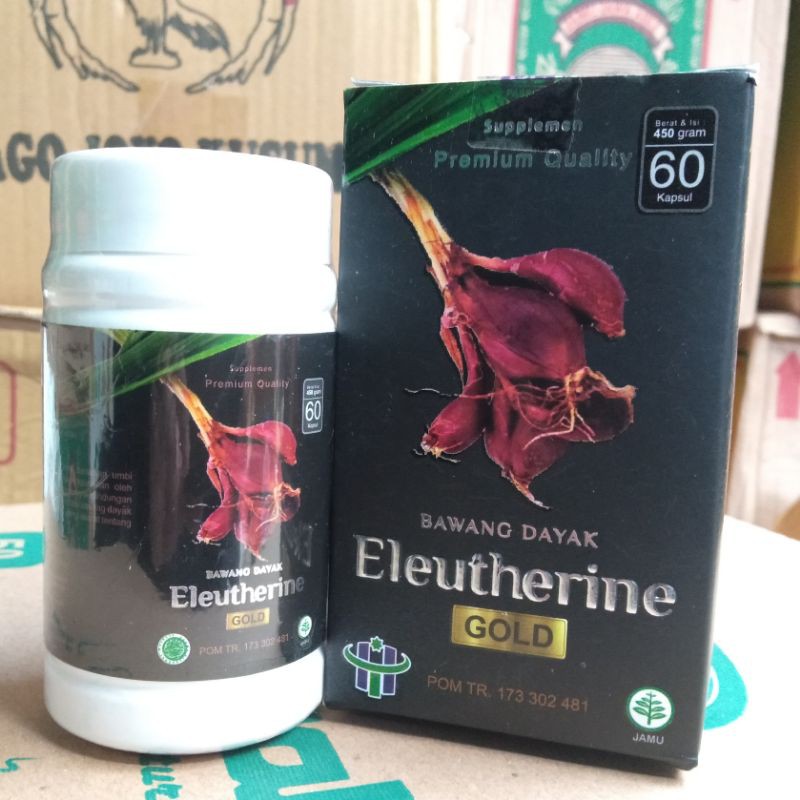 

Kapsul Bawang Dayak / Herbalicious / Bawang Dayak Eleutherine Gold / Eleutherine
