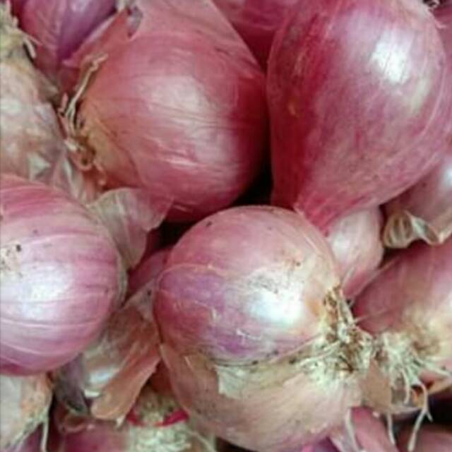 

Bawang merah