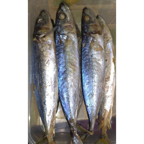 

ikan pindang cue isi 4