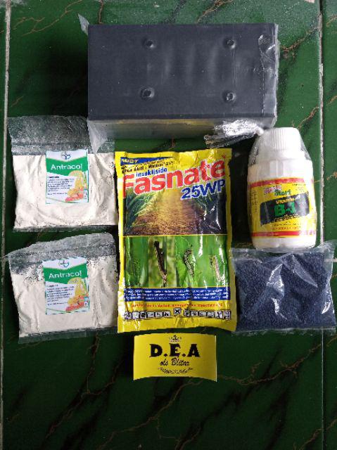 Polybag Hitam Untuk Tanaman Berbagai Ukuran Tersedia