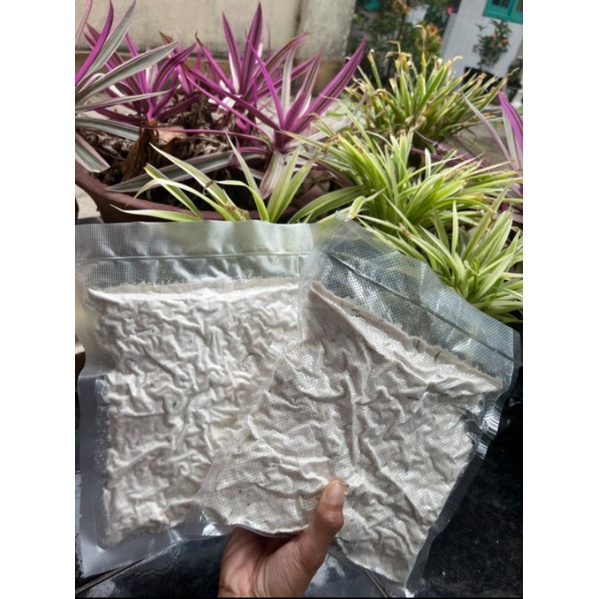 

bak dabak ikan enduel (500gr)