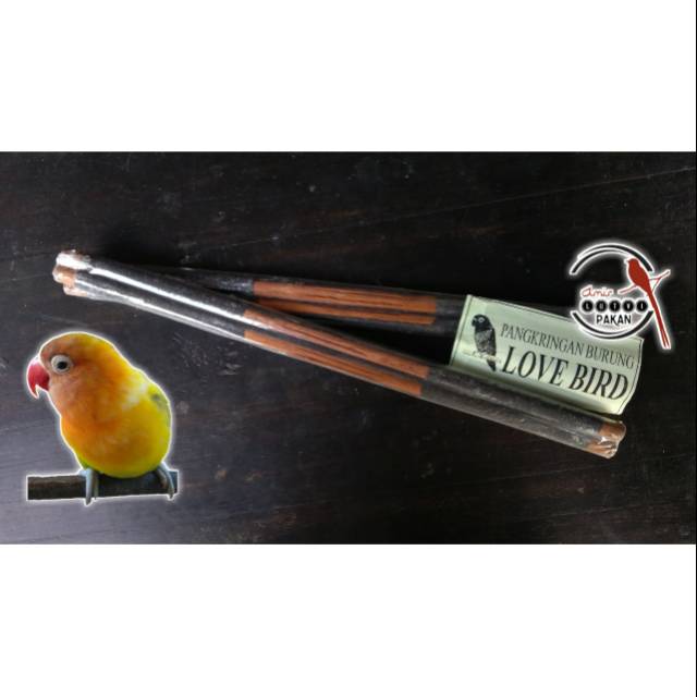 TANGKRINGAN BURUNG LOVE BIRD SEPASANG