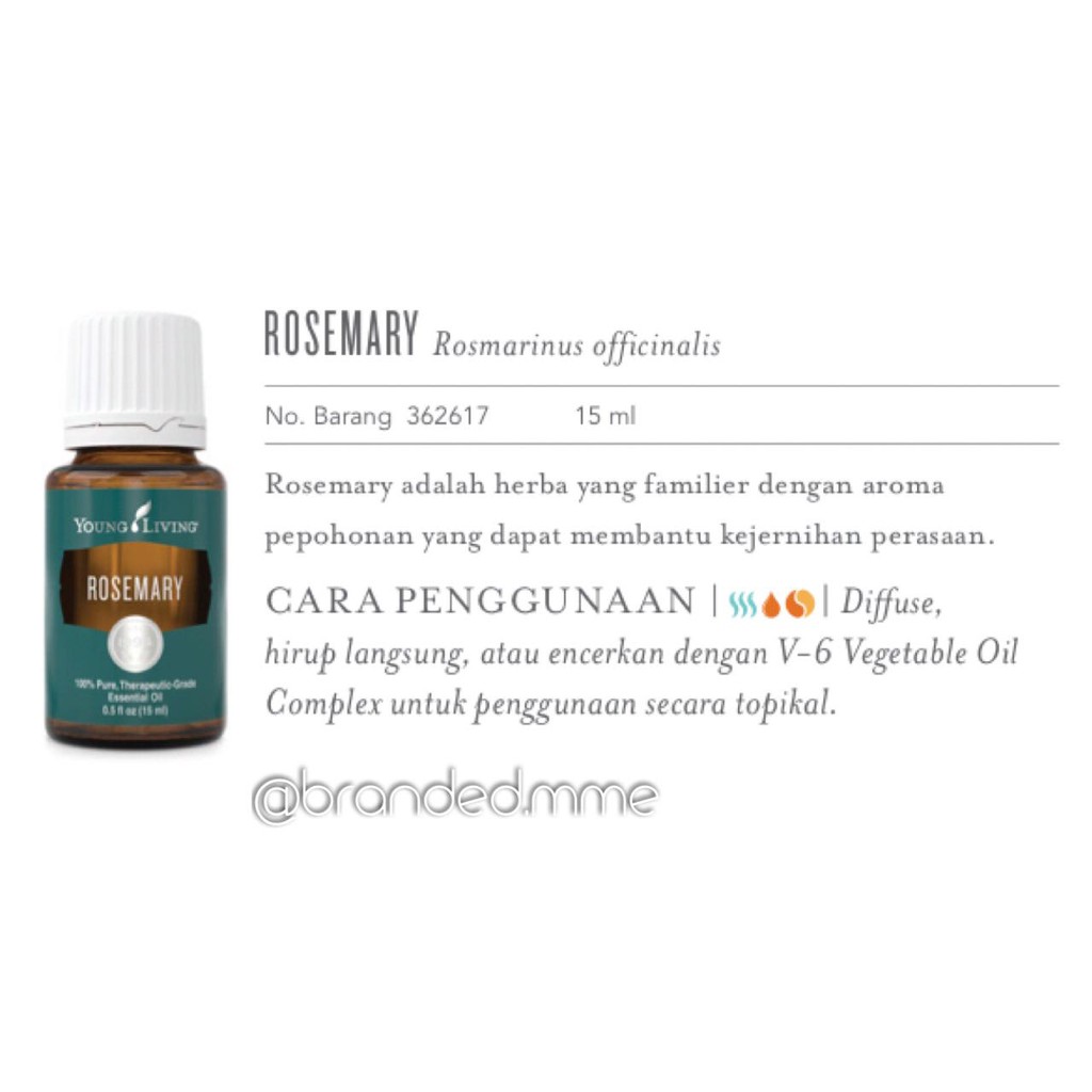 Rosemary Young Living Essential Oil