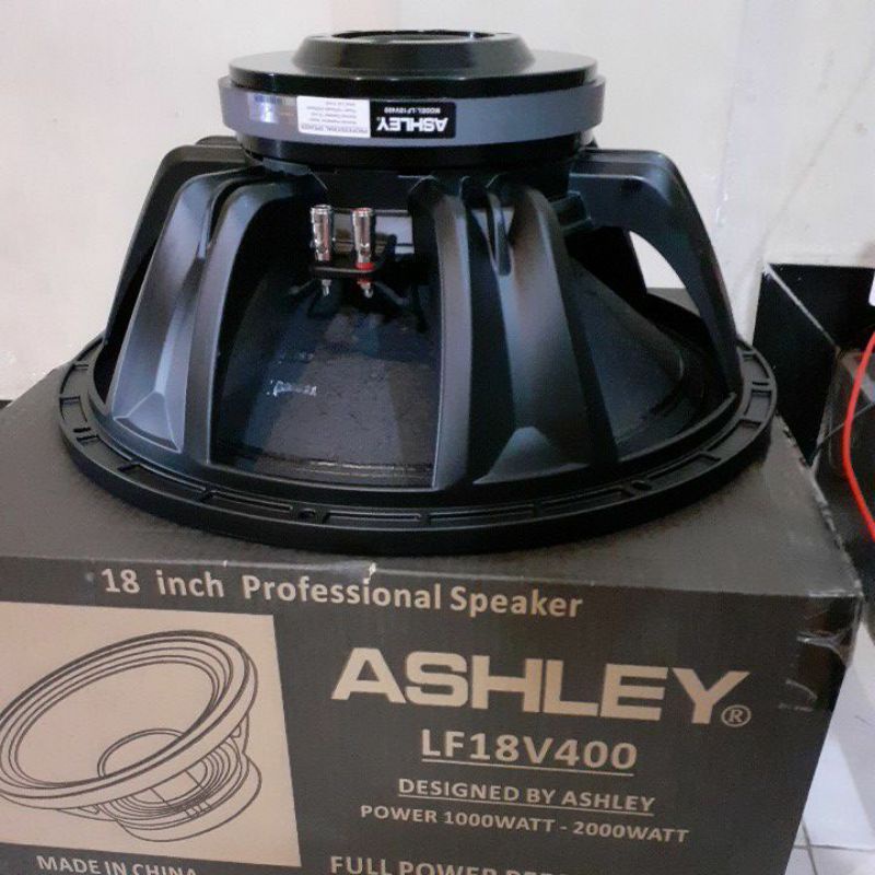 SPEAKER ASHLEY 18V400