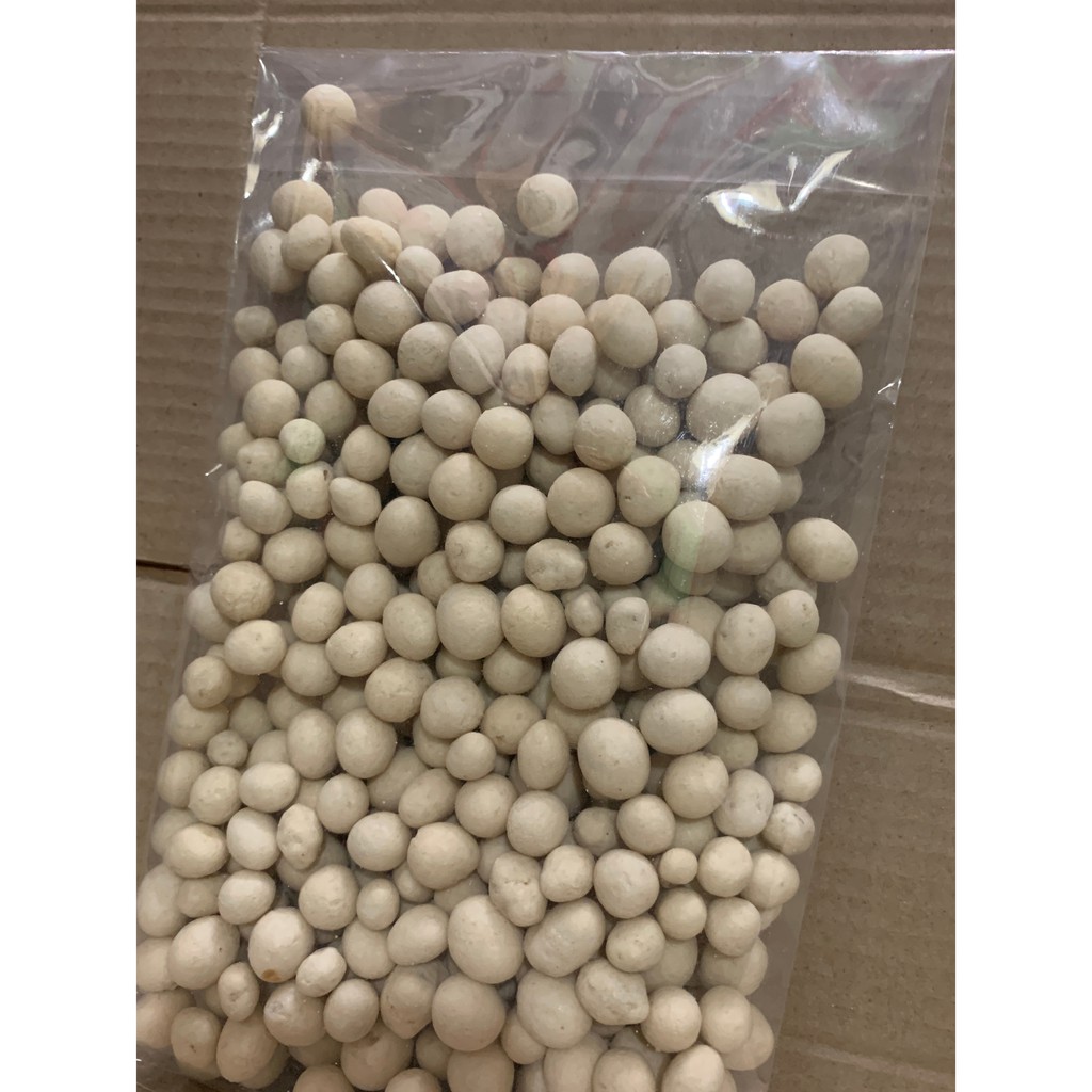 

Kacang Polong ( isi kacang ) / kacang sukro